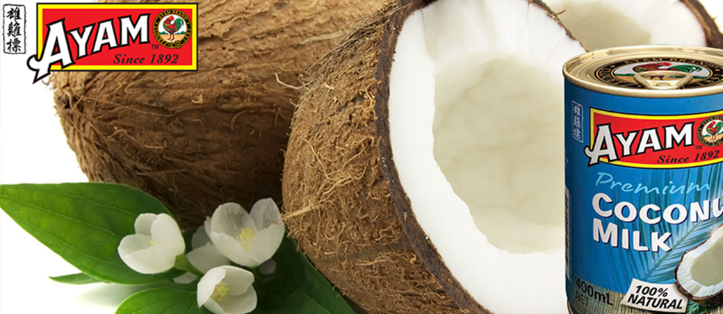 雄雞標特級椰奶 大400g Pchome 24h購物