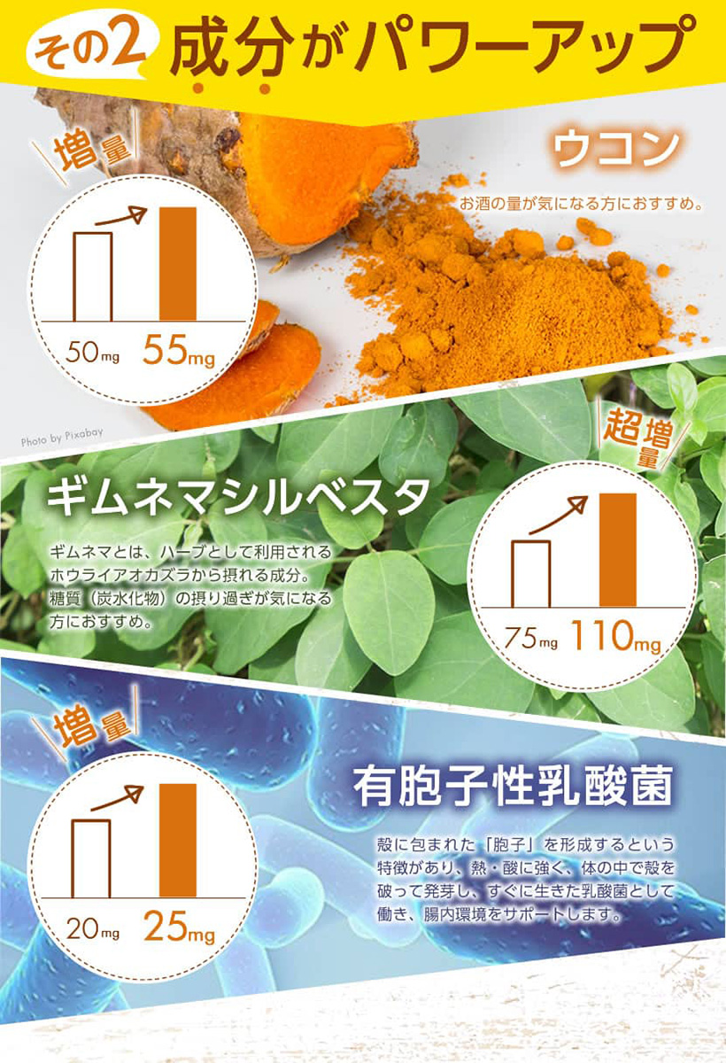 新谷酵素 New全新升級版diet熱控纖美酵素錠薑黃加強版6mg 150錠 盒 Pchome 24h購物