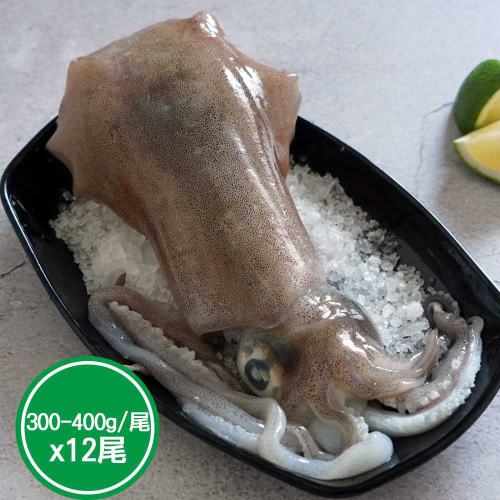 花枝/小捲/透抽/軟絲 - PChome 24h購物