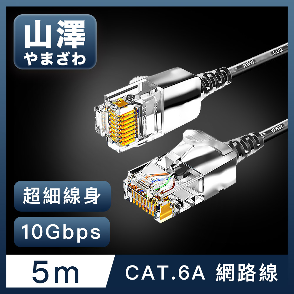 山澤Cat.6A 10Gbps超高速傳輸八芯雙絞鍍金芯極細網路線黑/20M - PChome