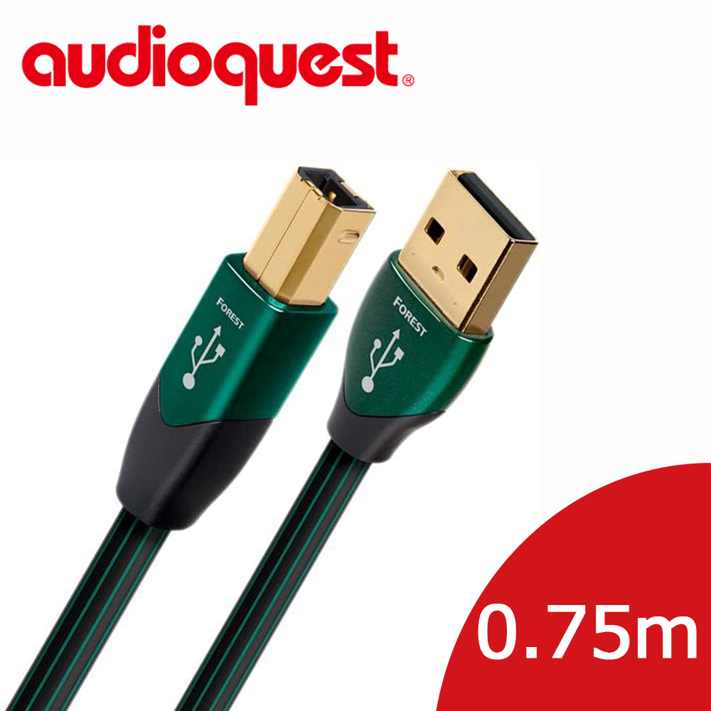 audioquest オーディオクエスト USBケーブル ダイヤモンド（USB Type 
