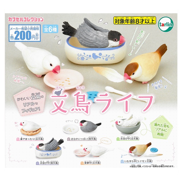 数量は多 文鳥 マグネット ひょっこり文鳥 32ｍｍ 缶マグネット 小鳥 おしゃれ かわいい グッズ プレゼント 白文鳥 桜文鳥 シルバー文鳥 シナモン 文鳥 クリーム文鳥 Discoversvg Com