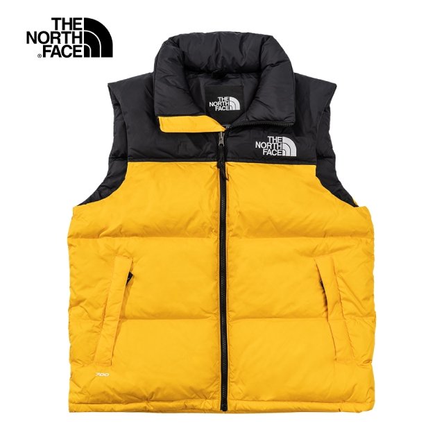 the north face 1996 retro jacket