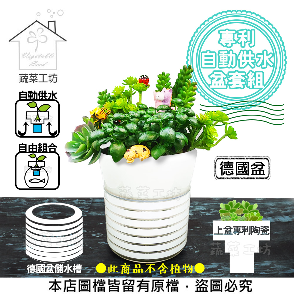 專利自動澆水盆套組 德國盆 上盆專利陶瓷 德國盆儲水槽 Pchome 24h購物