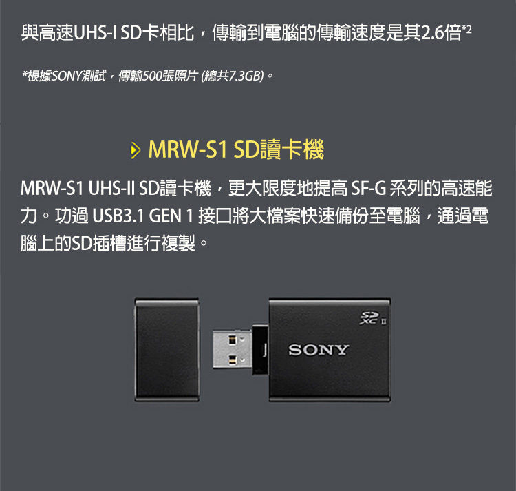 SONY(ソニー) TOUGH SF-G256T [256GB]の+stbp.com.br