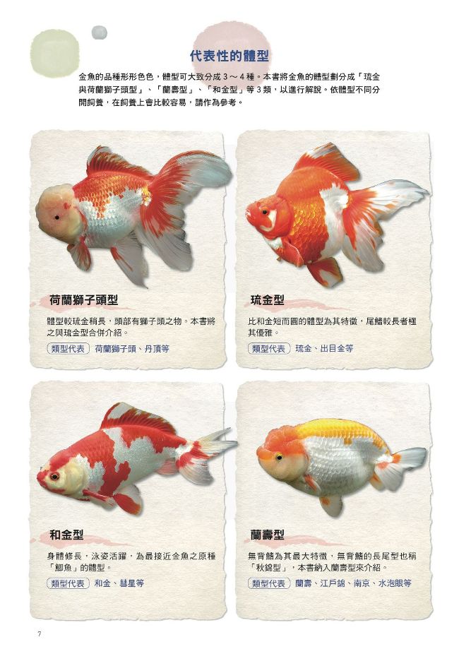 給新手的金魚鑑賞ｘ飼養指南 Pchome 24h書店