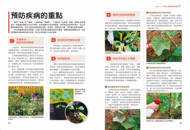 500張病症實境照 植物病蟲害防治全圖鑑 4大分類法速查 蔬菜x果樹x花木x觀葉 從預防到根治完全解析 Pchome 24h書店