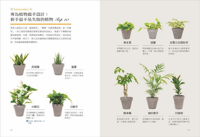 今天起 植物住我家 專為懶人 園藝新手設計 頂尖景觀設計師教你用觀葉 多肉 水生植物佈置居家全圖解 Pchome 24h書店 今天起 植物住我家 專為懶人 園藝新手設計 頂尖景觀設計師教你用觀葉 多肉 水生植物佈置居家全圖解 Pchome 24h書店