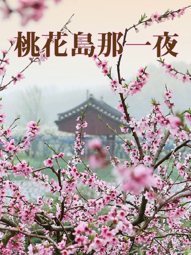 桃花島那一夜 有聲書 Pchome 24h書店