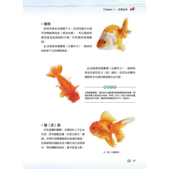 金魚事典 從認識 飼養到觀賞 寵物金魚的綺麗圖鑑 Pchome 24h書店