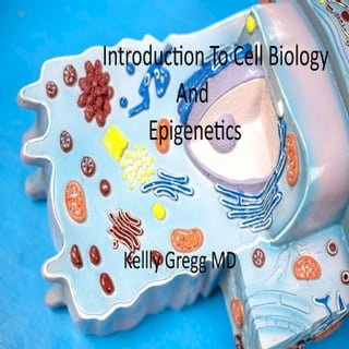 Introduction to Cell Biology and Epigenetics(Kobo/電子書)