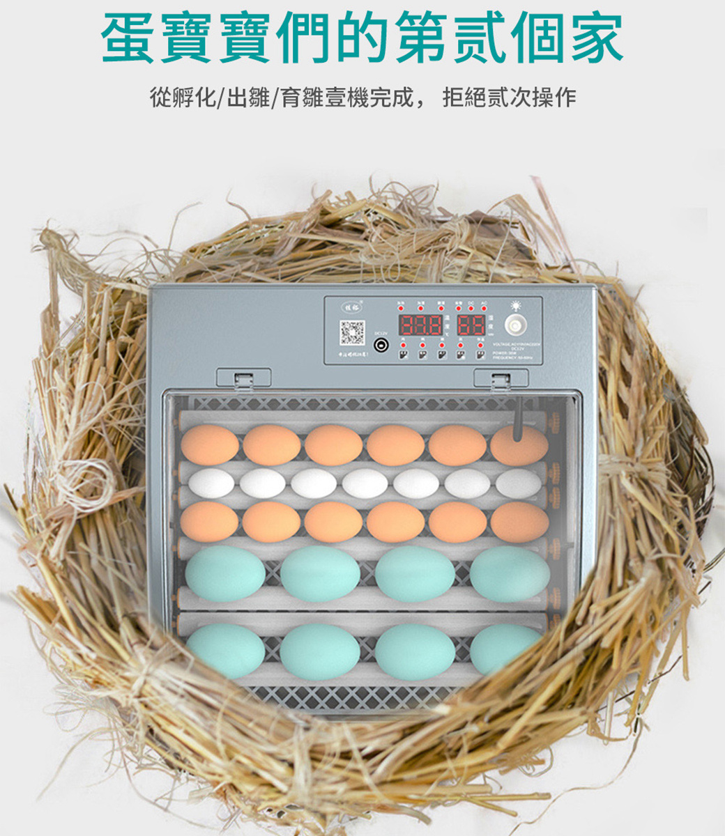 孵化機孵蛋器110v自動雞蛋孵化器24枚蛋鳥蛋鸡鸭家禽全自動孵蛋器雞蛋孵化箱雙電設計 Pchome 24h購物 孵化機孵蛋器110v自動雞蛋孵化器24枚蛋鳥蛋鸡鸭家禽全自動孵蛋器雞蛋孵化箱雙電設計 Pchome 24h購物