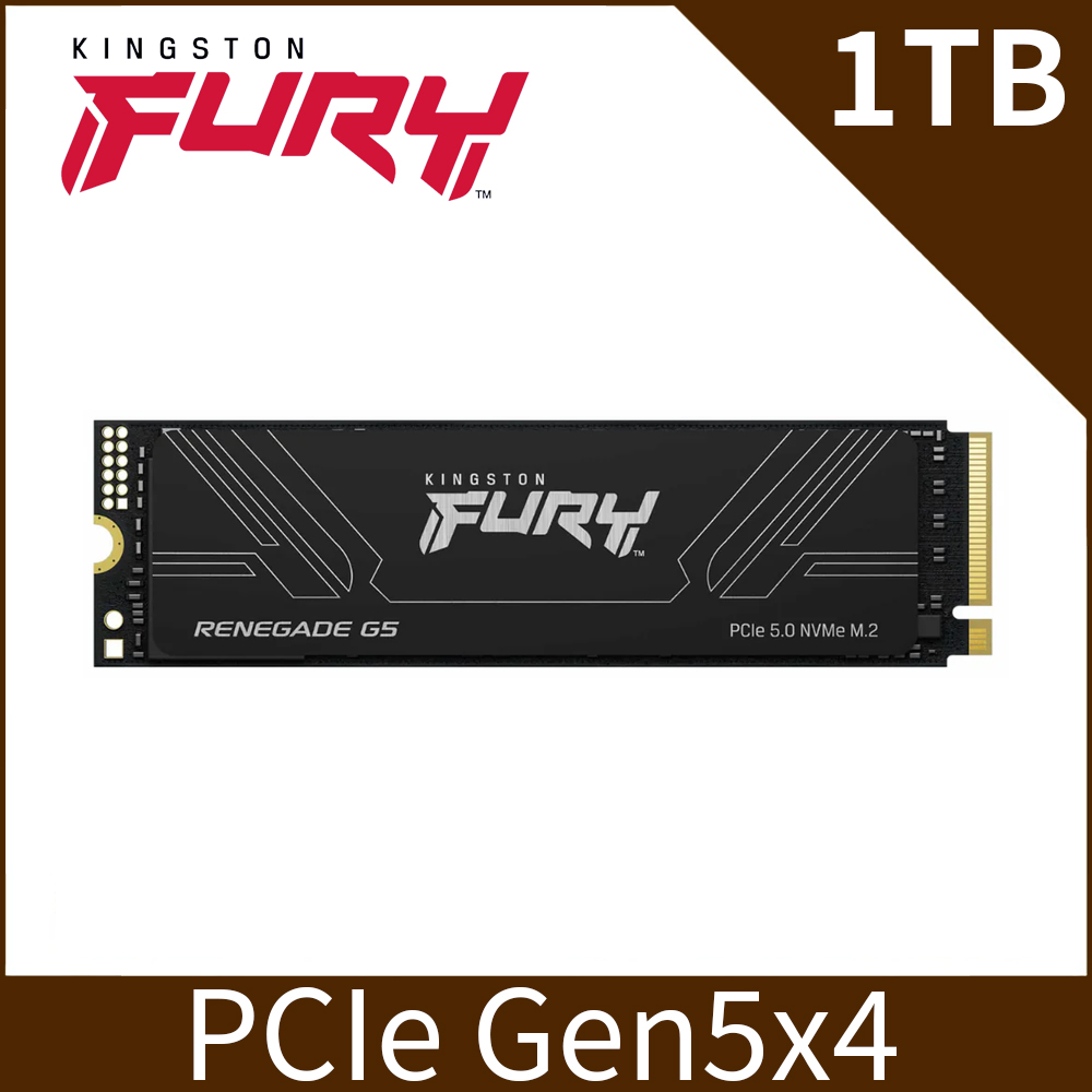 KIOXIA 鎧俠Exceria Plus G4 SSD M.2 2280 PCIe NVMe 1TB Gen5x4 (BOX