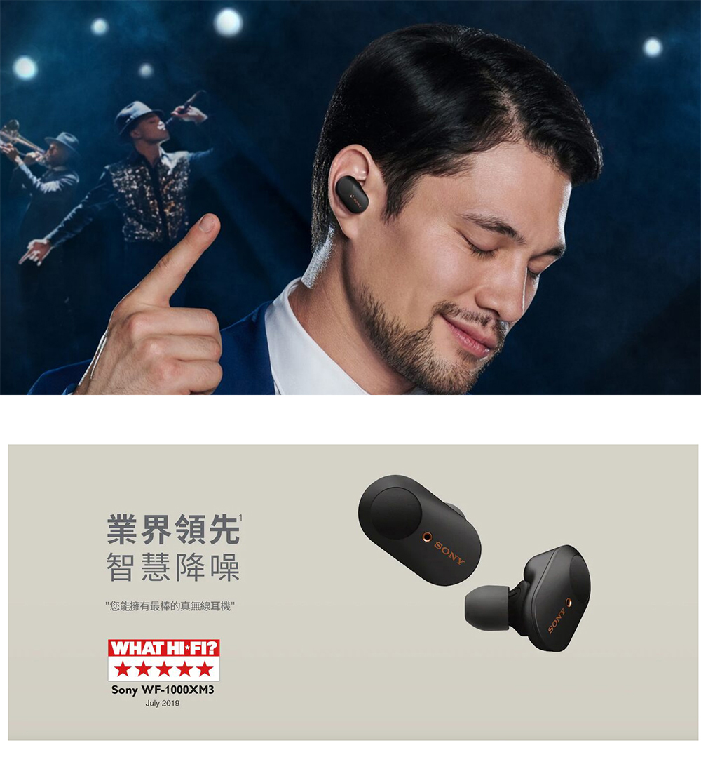 SONY WF-1000XM3 真無線藍牙降噪耳機(公司貨) - PChome 24h購物